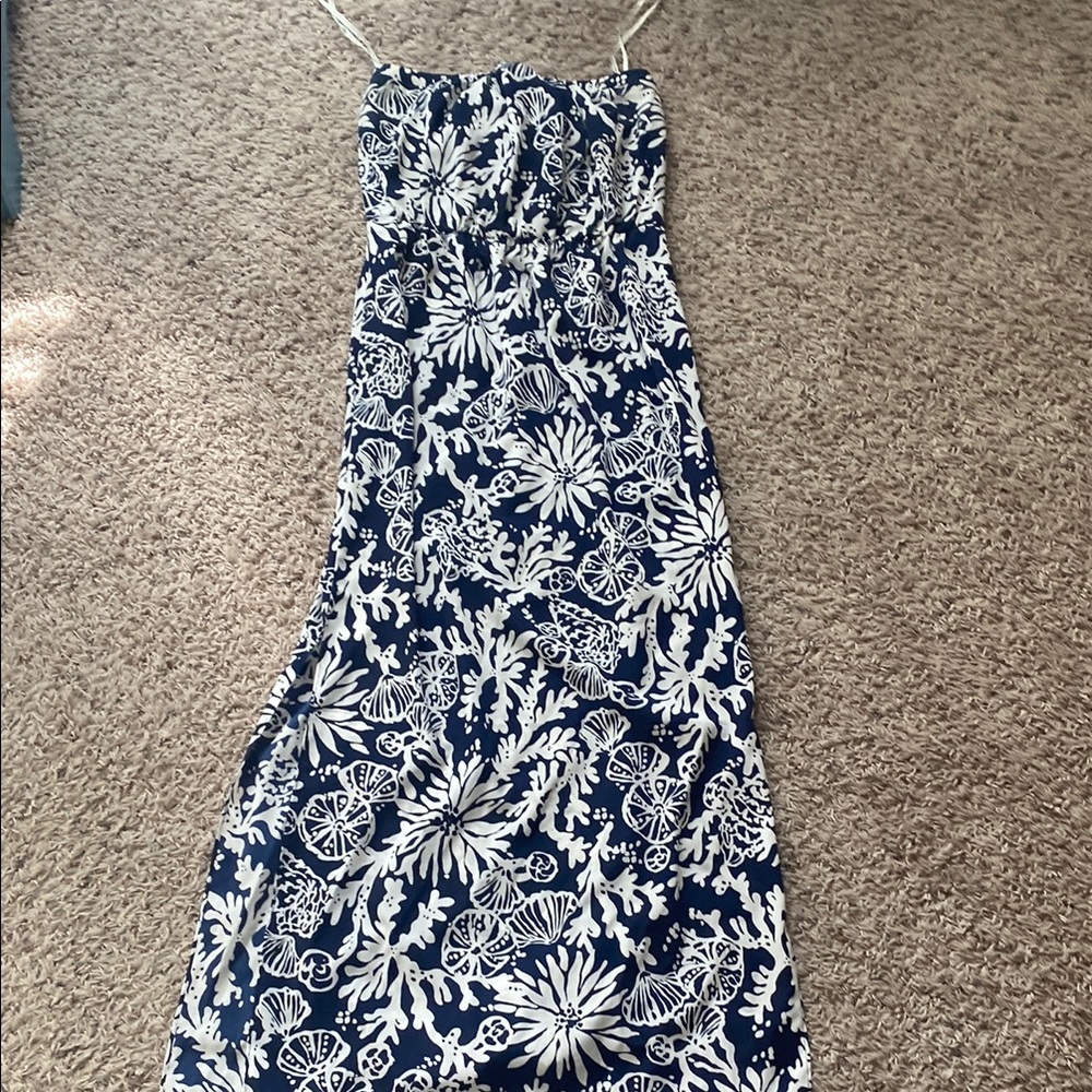 Lilly Pulitzer Blue and White Maxi Dress